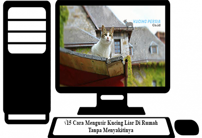 √15 Cara Mengusir Kucing Liar Di Rumah Tanpa Menyakitinya - rumah
kucing dalam rumah