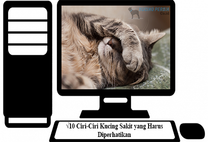 √10 Ciri-Ciri Kucing Sakit yang Harus Diperhatikan