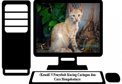  12 Cara Mengobati Kucing  yang Kejang Kejang Secara Alami