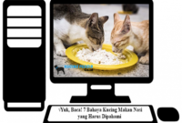 √5 Makanan dan Minuman untuk Kucing Kampung Harus Dipahami