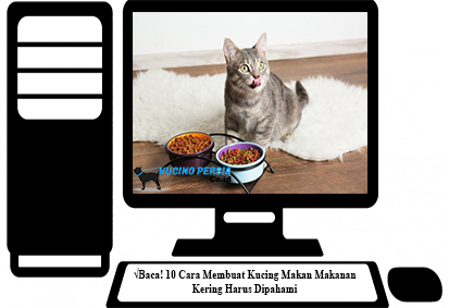 √Baca! 10 Cara Membuat Kucing Makan Makanan Kering Harus Dipahami