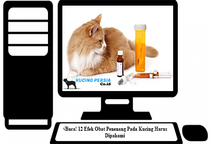 √Baca! 12 Efek Obat Penenang Pada Kucing Harus Dipahami