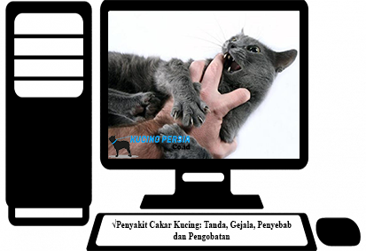 √Penyakit Cakar Kucing: Tanda, Gejala, Penyebab dan Pengobatan