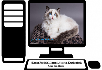 √Kucing Ragdoll: Mengenal, Sejarah, Karakteristik, Cara dan Harga