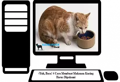 Cara-Membuat-Makanan-Kucing