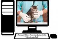 Cara-Perawatan-Kucing-Setelah-Vaksin-dengan-Baik