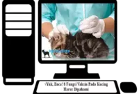Fungsi-Vaksin-Pada-Kucing