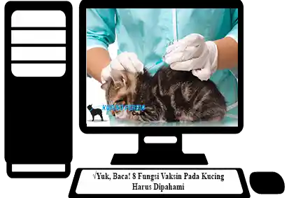 Fungsi-Vaksin-Pada-Kucing