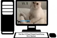 Fungsi-Vitamin-B-untuk-Kucing
