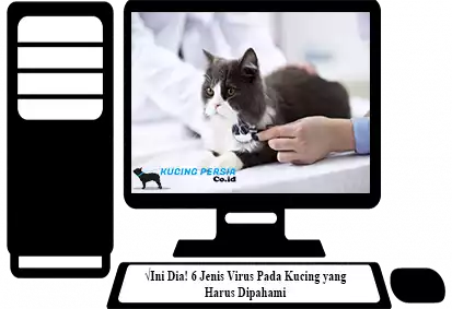 Jenis-Virus-Pada-Kucing
