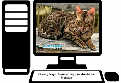 Kucing-Bengal