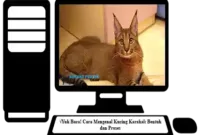 Kucing-Karakal