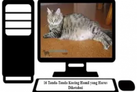 Tanda-Tanda-Kucing-Hamil