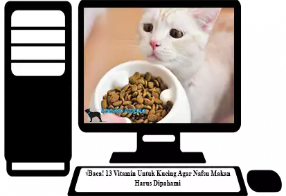 Vitamin-untuk-Kucing-Agar-Nafsu-Makan