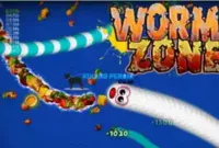 Worms Zone