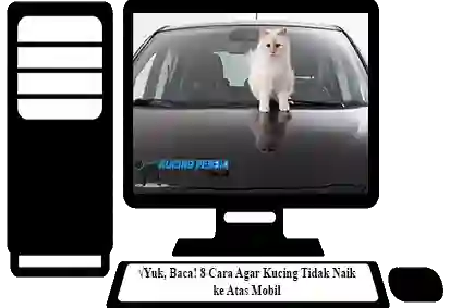 Cara-Agar-Kucing-Tidak-Naik-ke-Atas-Mobil