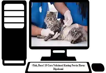 Cara-Vaksinasi-Kucing-Persia