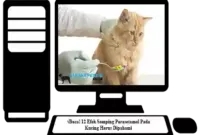 Efek-Samping-Parasetamol-Pada-Kucing