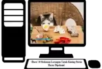 Makanan-Larangan-Untuk-Kucing-Persia