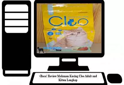 Review-Makanan-Kucing-Cleo