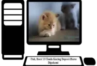 Tanda-Kucing-Depresi